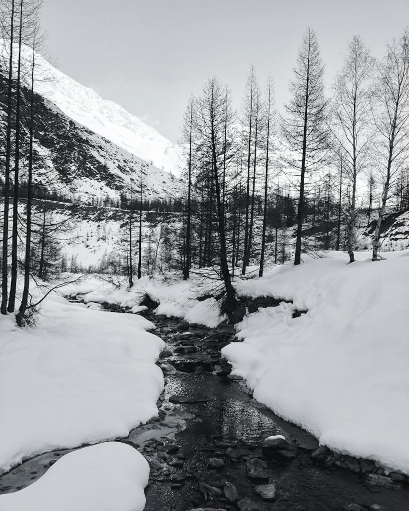 grayscale-photography-of-river-and-trees-covered-by-white-snow-lpzsebaq5q8