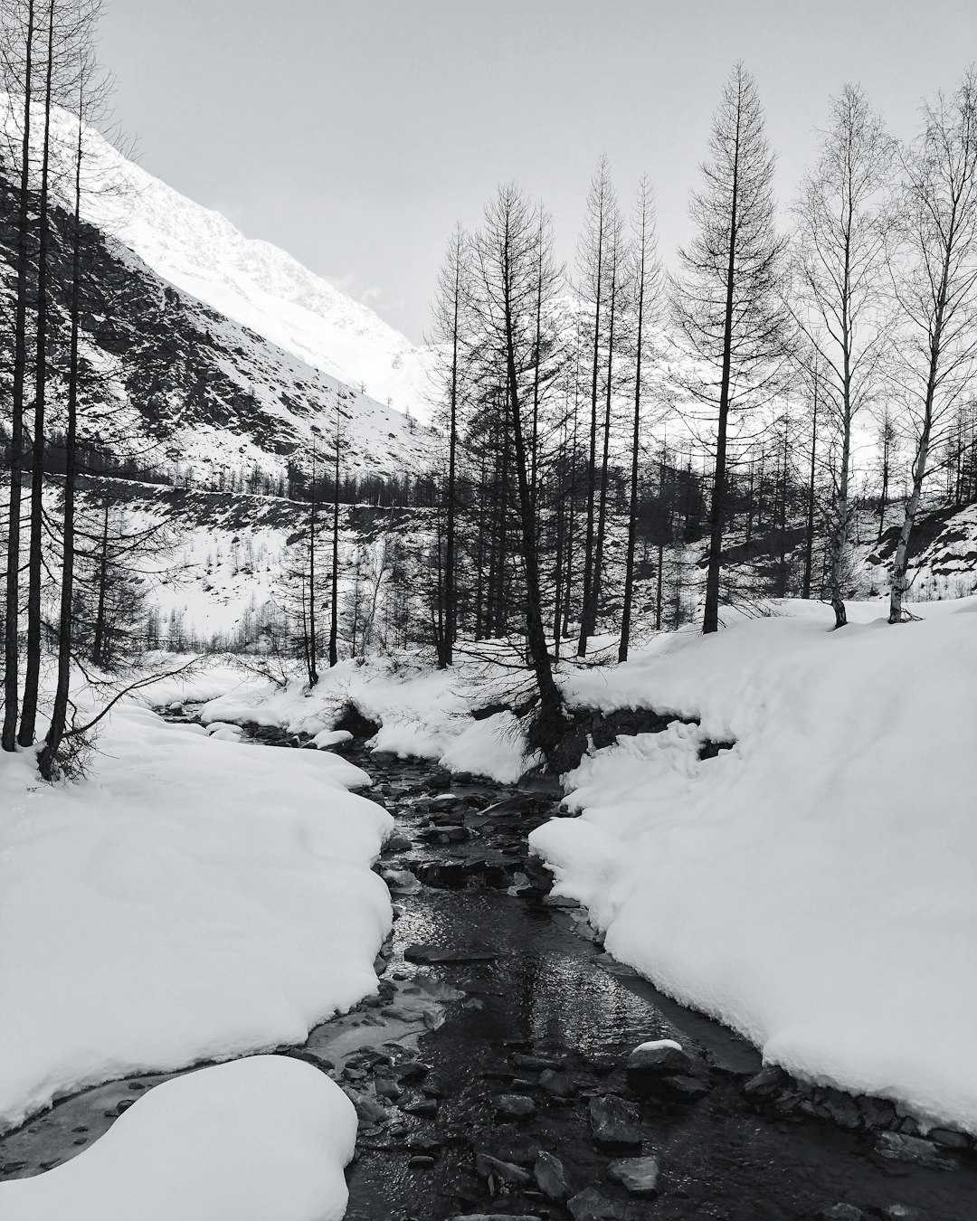 grayscale-photography-of-river-and-trees-covered-by-white-snow-lpzsebaq5q8